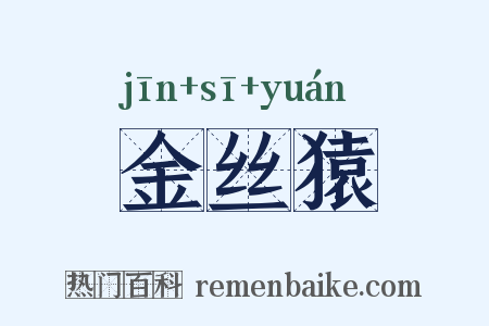 金丝猿是什么意思的图片